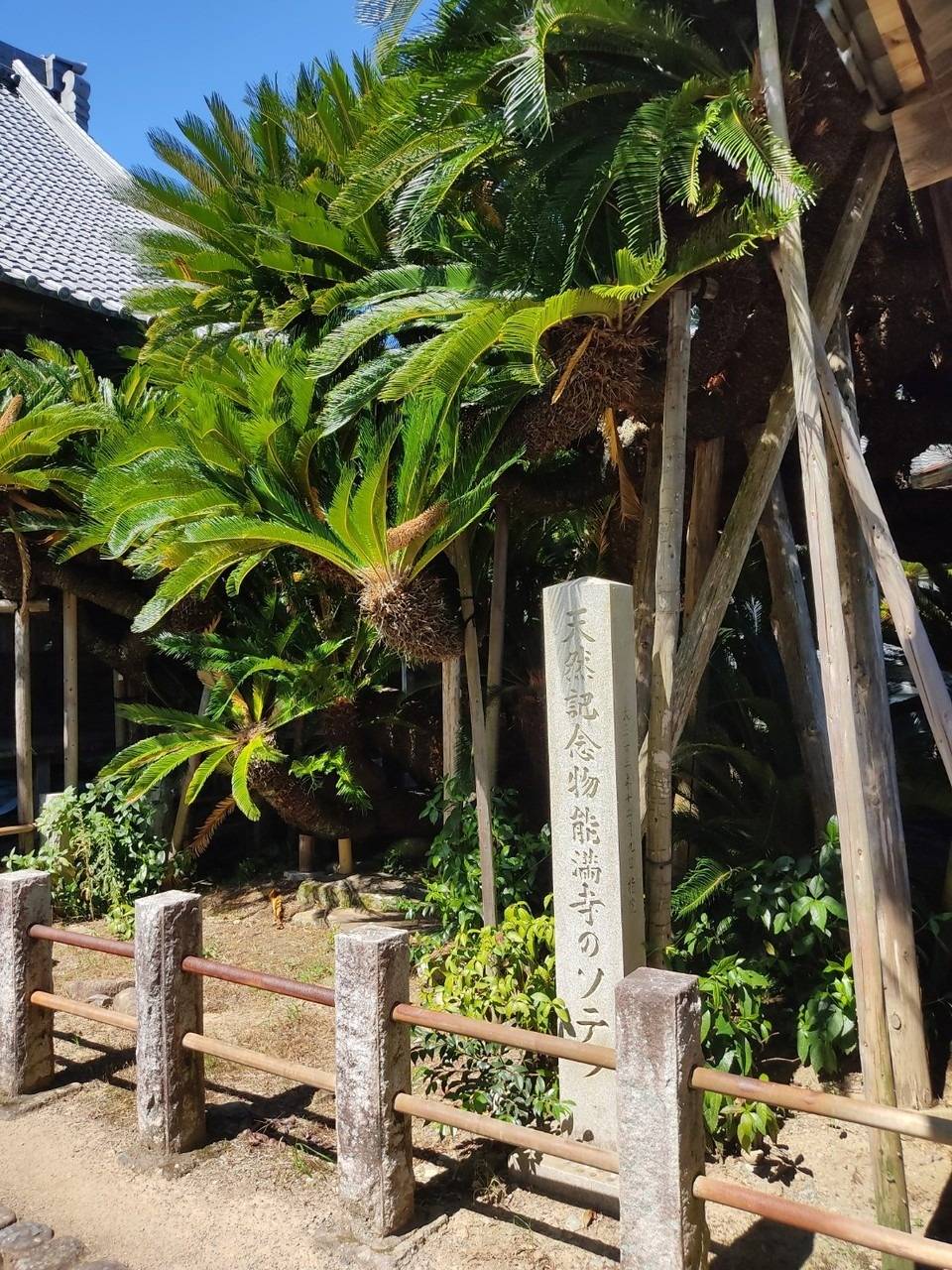 静岡城めぐり⑫　能満寺　寺澤禎則