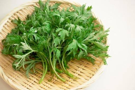 ８月９日(金)　沖縄長生薬草の「薬草の日」