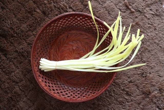 ２月１２日(水)　黄ニラ記念日