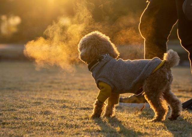 １２月７日(日)　大雪