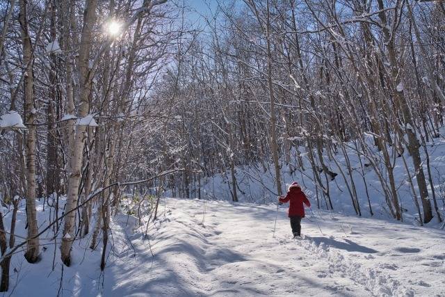 ２月２４日(火)　クロスカントリーの日