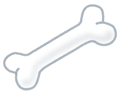 ３月３日(火)　骨の健康デー