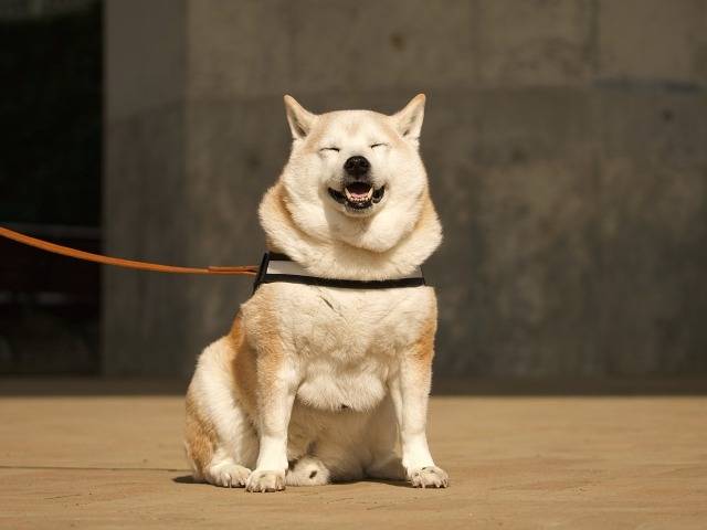 3月25日(水) 笑顔表情筋の日