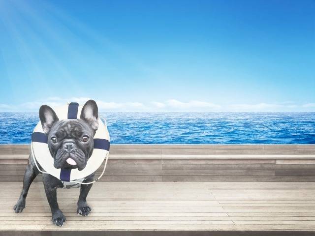 7月20日(月) 水難訓練の日