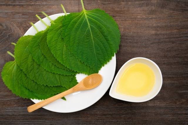 8月23日(日) 油の日