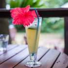 ４月５日(日)　沖縄バヤリースの日