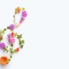 ４月７日(火)　音健の日